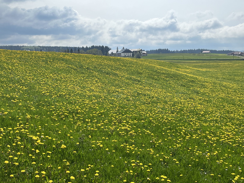 23-05-21 16-54-43 5535